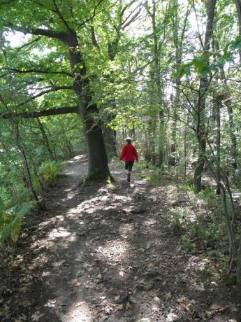 De GR 5 tussen de vijvers van Bokrijk door.