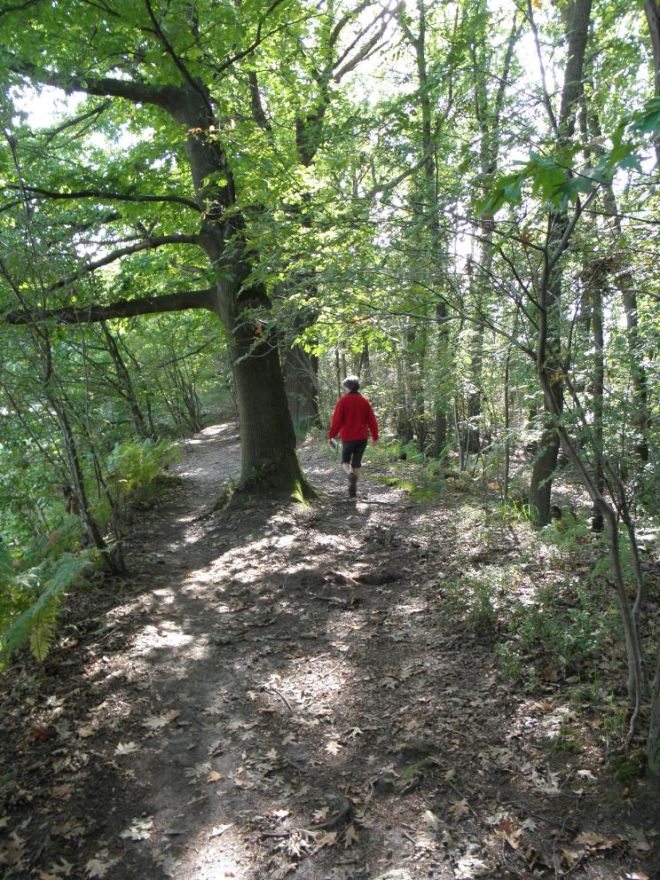 De GR 5 tussen de vijvers van Bokrijk door.
