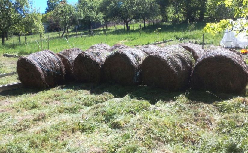 Mekaar helpen of&nbsp;niet