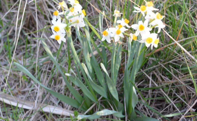 Een goed (?) jaar&nbsp;weggeweest