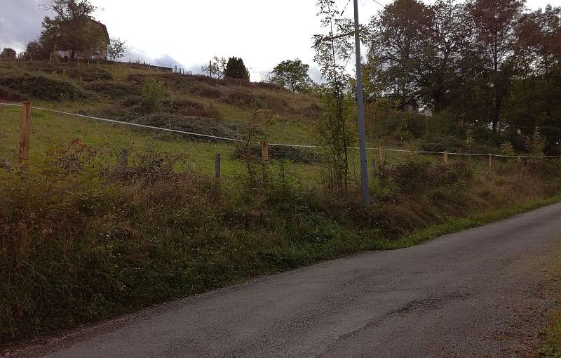 Een van de weides die we in bruikleen hebben