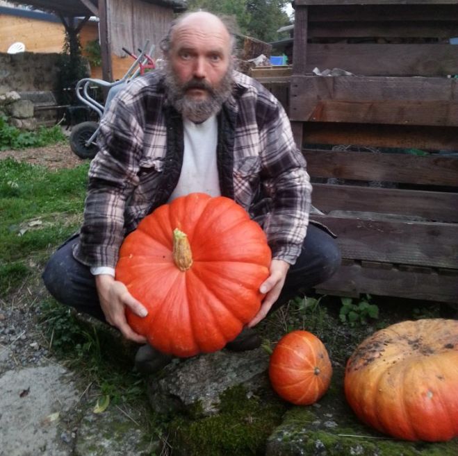 De pompoenoogst in de eerste moestuin